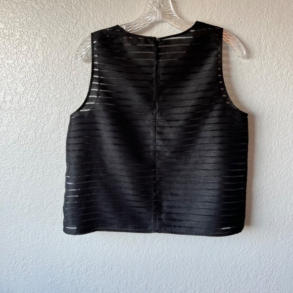 Banana Republic striped solid and sheer black top - Picture 2 of 10